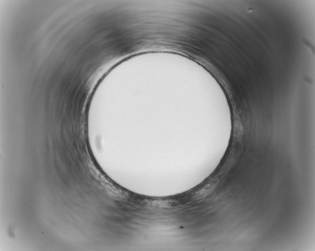X0000103491004200810101018