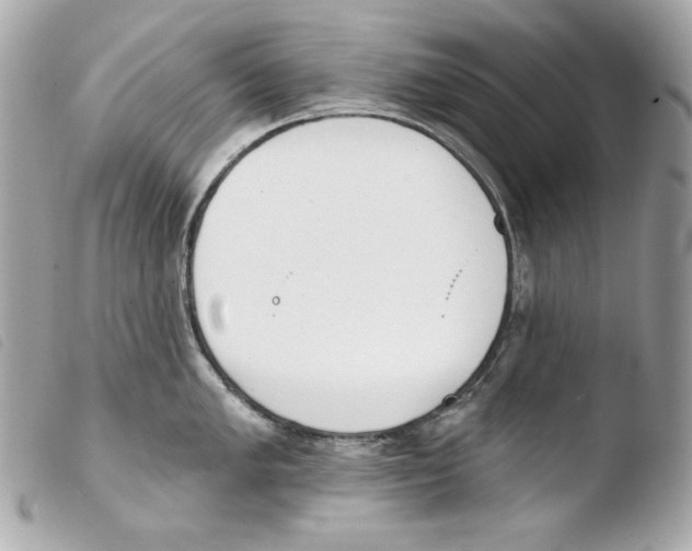 X0000103491005200810101018