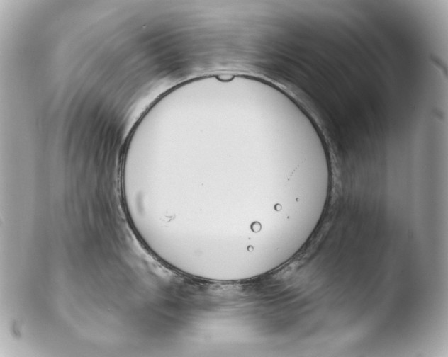 X0000103491006200810101018