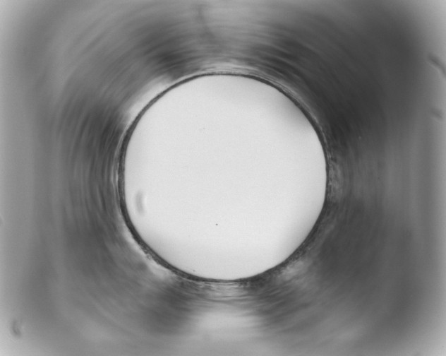 X0000103491007200810101018