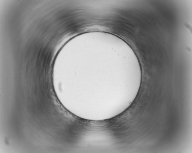 X0000103491008200810101018