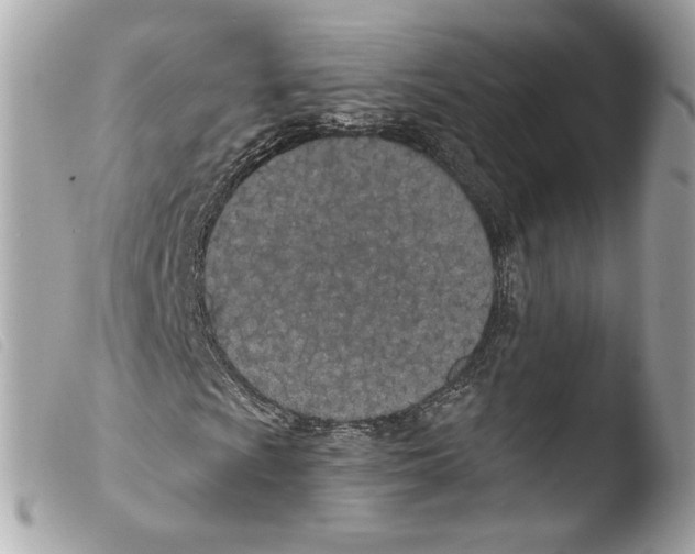 X0000103491009200810101017