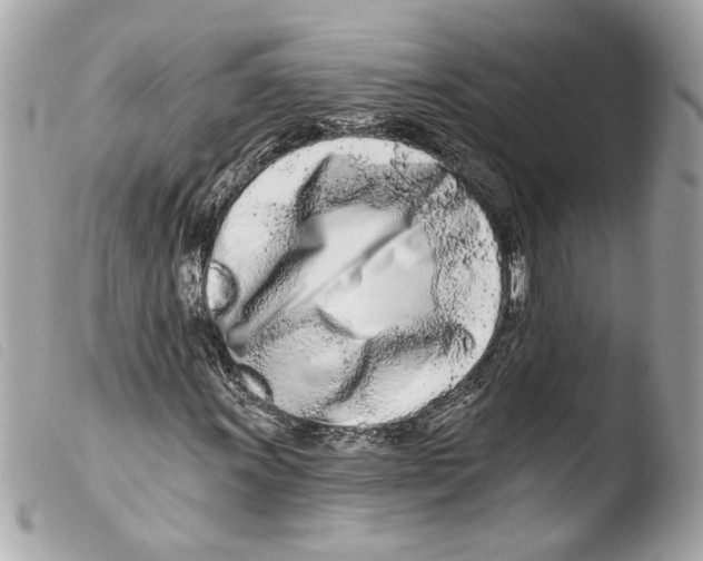 X0000103491011200810101017