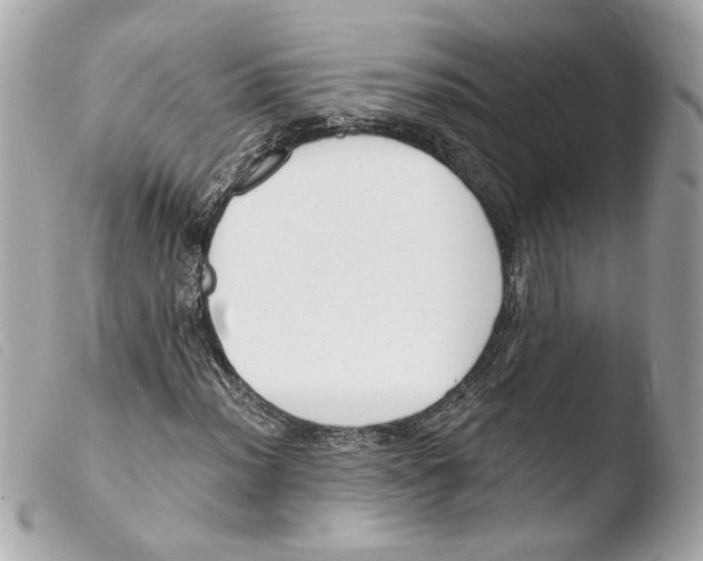 X0000103491012200810101017