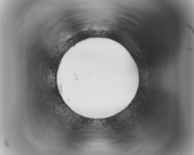 X0000103491013200810101017