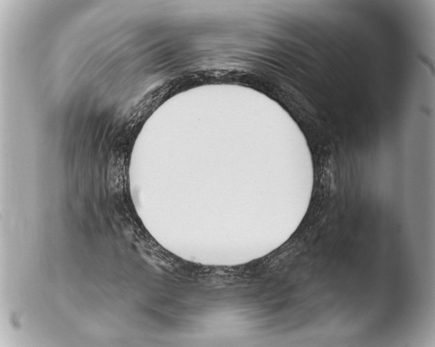 X0000103491014200810101017