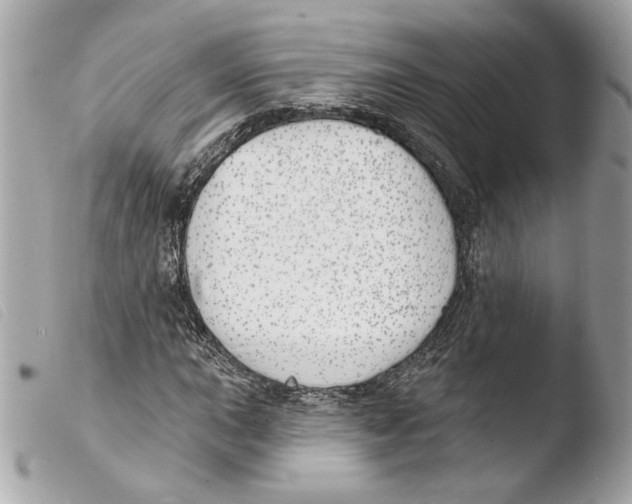 X0000103491015200810101017