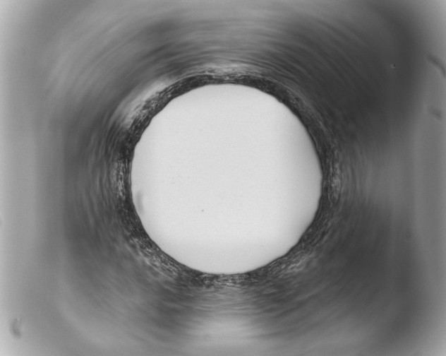 X0000103491016200810101017