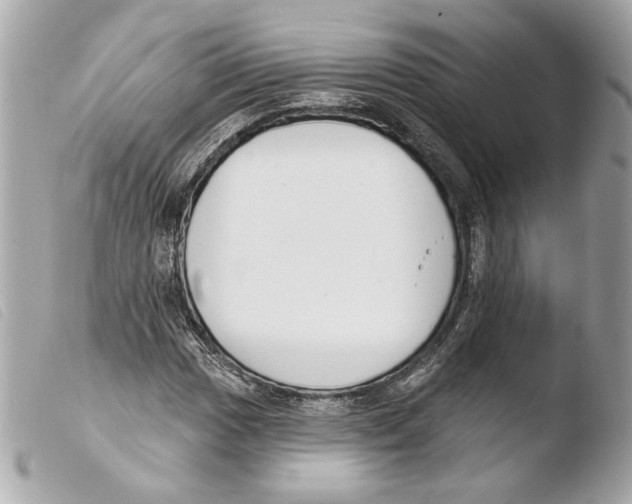 X0000103491017200810101017