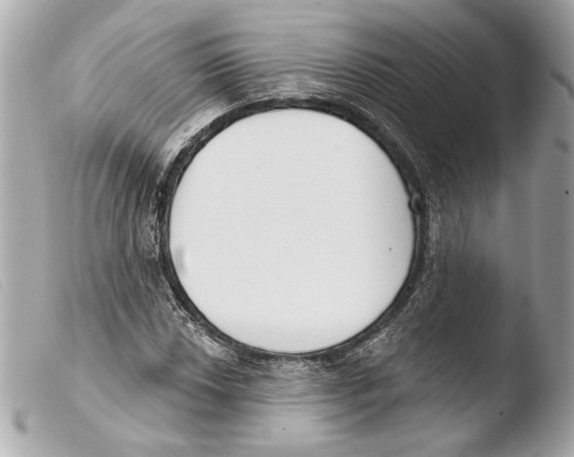 X0000103491018200810101017