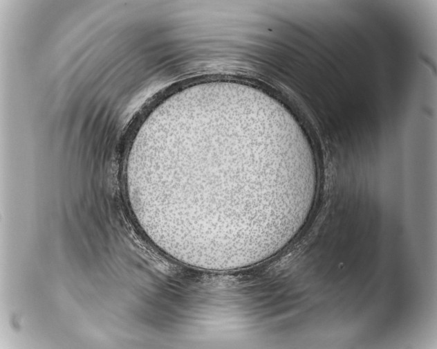 X0000103491019200810101017