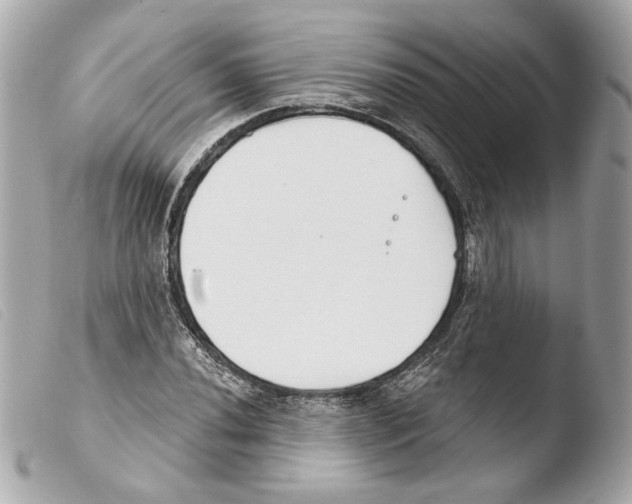 X0000103491020200810101017