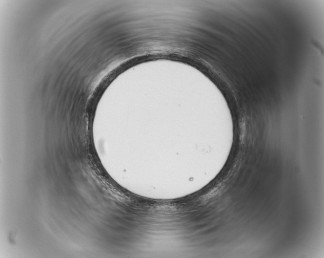 X0000103491021200810101017