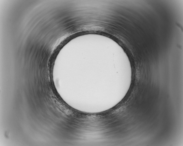 X0000103491022200810101017