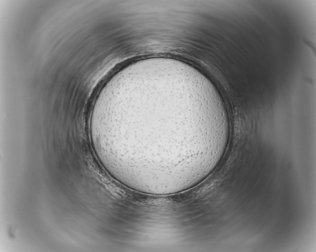 X0000103491023200810101017