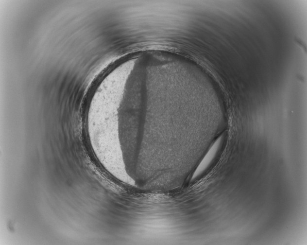 X0000103491024200810101017