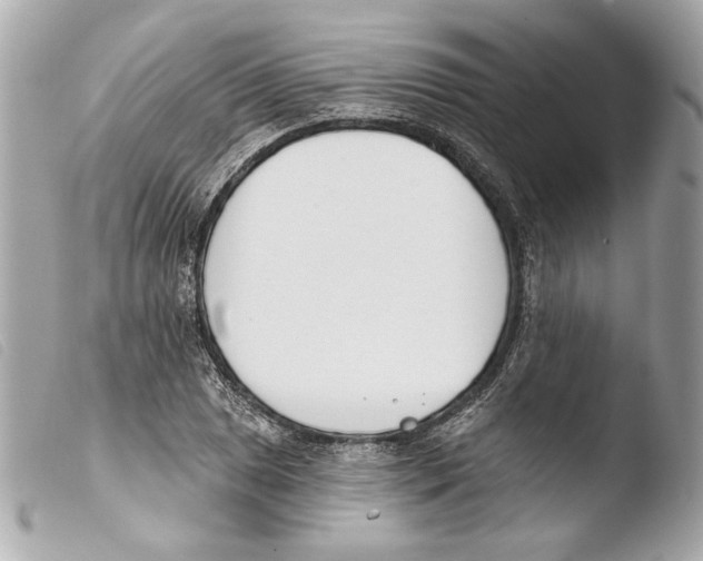 X0000103491025200810101017