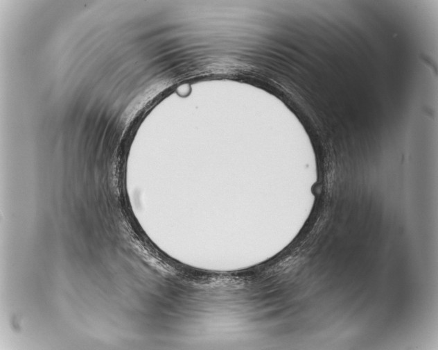 X0000103491026200810101017