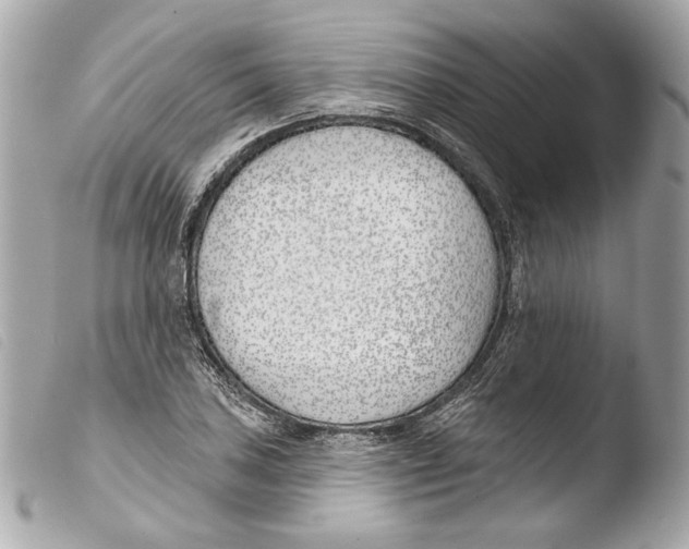 X0000103491027200810101017