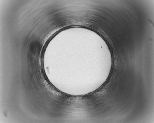 X0000103491028200810101017