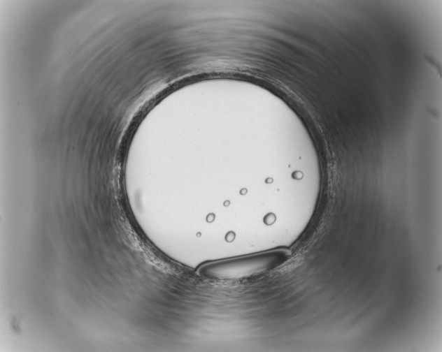 X0000103491029200810101017