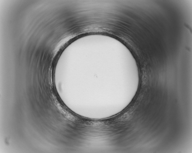 X0000103491030200810101017