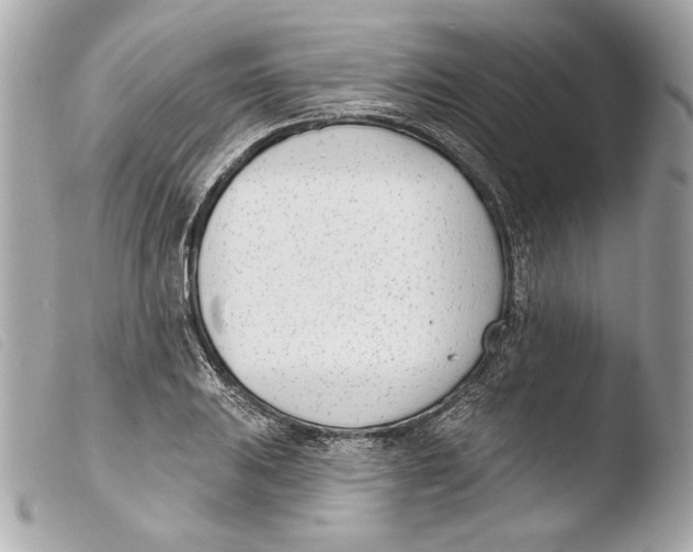 X0000103491031200810101017