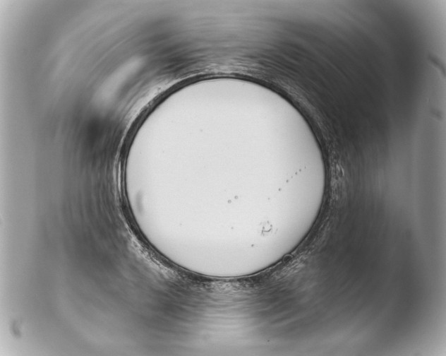 X0000103491032200810101017