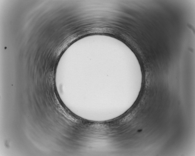 X0000103491033200810101017