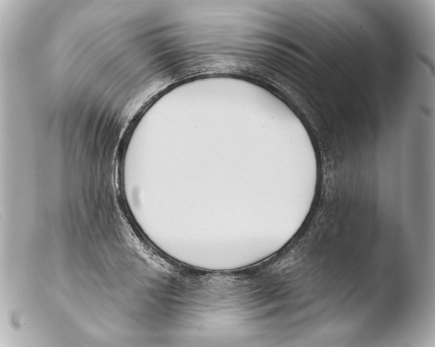 X0000103491034200810101017