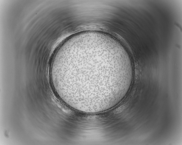 X0000103491035200810101017