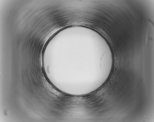 X0000103491036200810101017