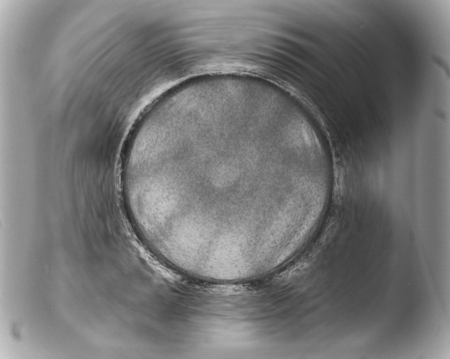 X0000103491037200810101017