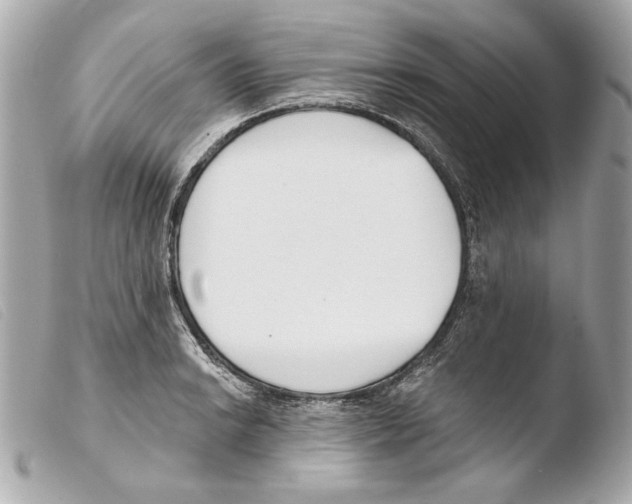 X0000103491038200810101017