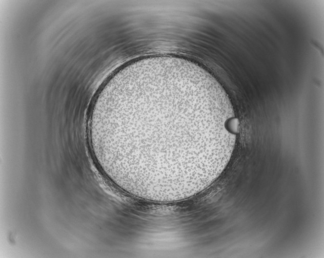 X0000103491039200810101017