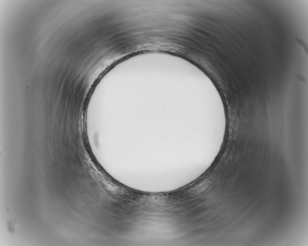 X0000103491040200810101017