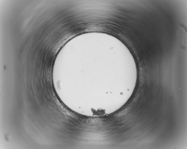 X0000103491041200810101017