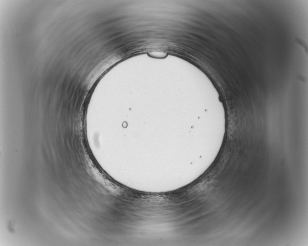 X0000103491042200810101017