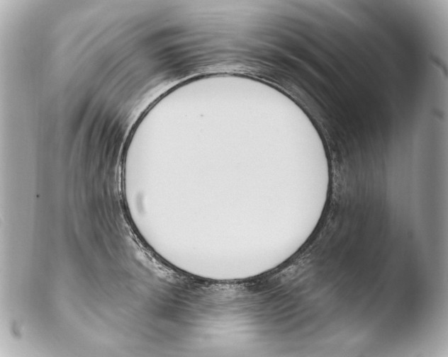 X0000103491044200810101017