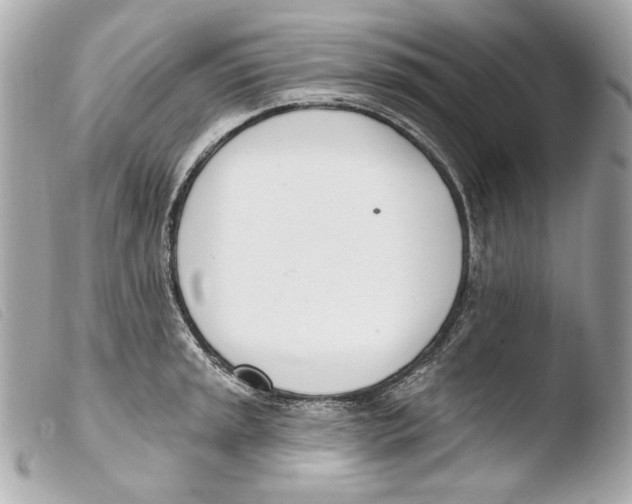 X0000103491045200810101017