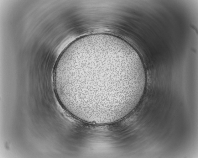 X0000103491047200810101017