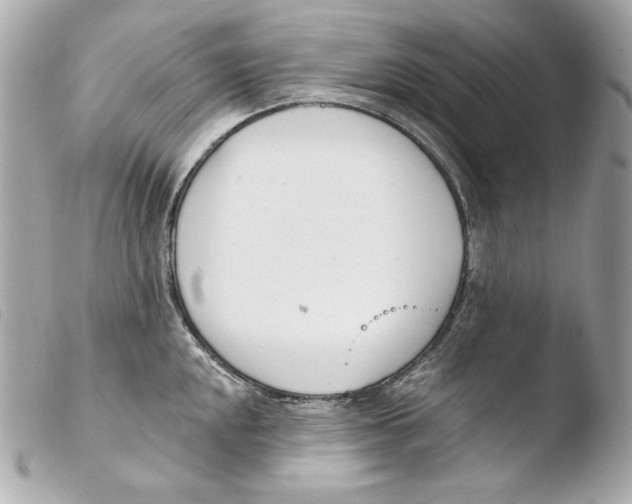 X0000103491048200810101017