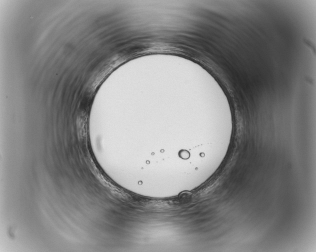 X0000103491049200810101017