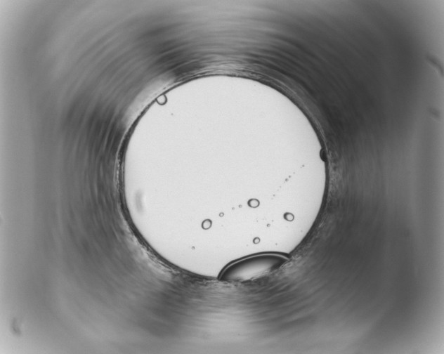 X0000103491050200810101017