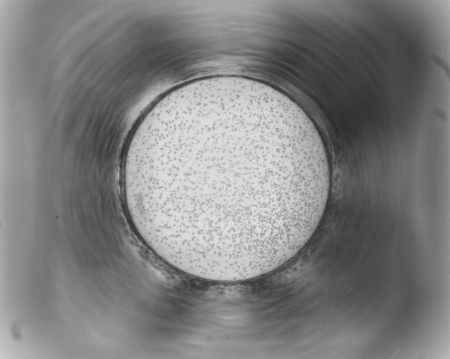 X0000103491051200810101017