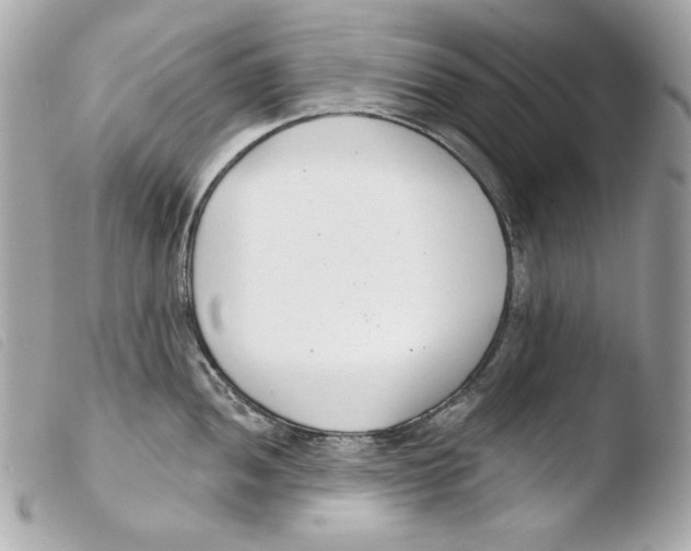 X0000103491052200810101018