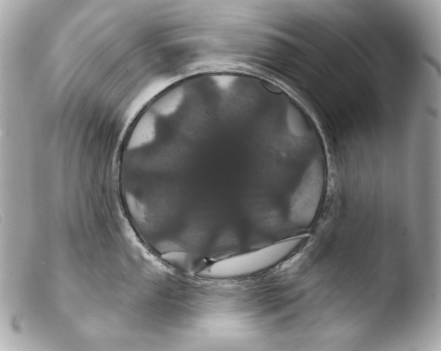 X0000103491053200810101018