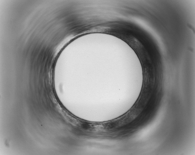 X0000103491054200810101018