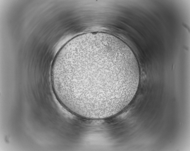 X0000103491055200810101018
