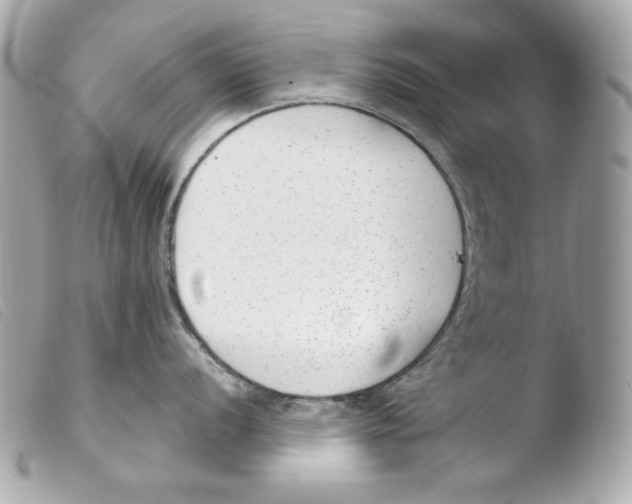 X0000103491056200810101018